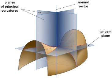 <b> Figure 1.</b> Saddle-shaped 3D curvature (image: Eric Gaba)