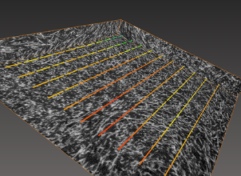 <b> Figure 2.</b> Local orientation matching of a 3D image with user-defined direction