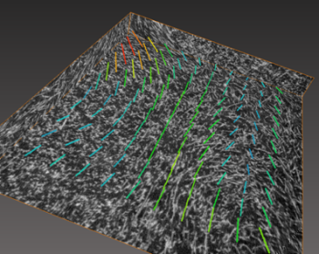 <b> Figure 1.</b> Local orientation map of a 3D image with a rainbow LUT (red for high confidence)