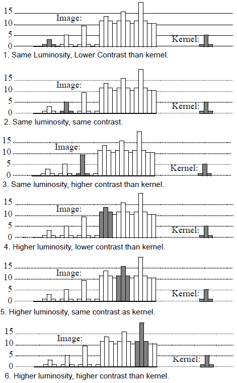 <b> Figure 2.</b> Examples of possible 1D correlation