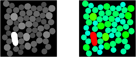 <b> Figure 2</b> Result of MeasurementToImage command with Area2d as parameter (Left: standard grayscale colormap; Right: rainbow colormap)