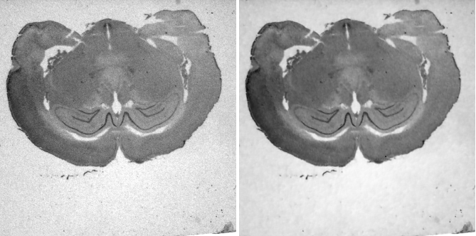 <b>Figure 1.</b> Membrane segmentation by deep learning prediction with noise to noise model.