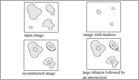 <b> Figure 1.</b> Comparison between reconstruction from markers and dilation/intersection