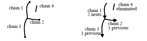 <b> Figure 1.</b> Chains representation