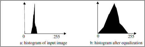 <b> Figure 1.</b> Histogram equalization