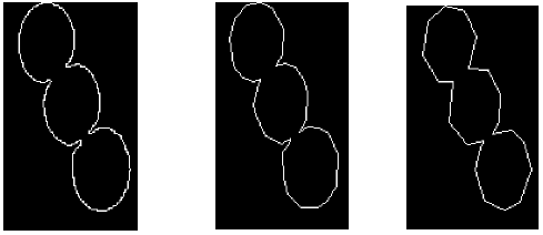 <b> Figure 2.</b> Polygonal approximation with different value of angle