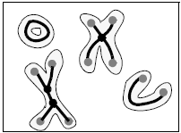 <b> Figure 1.</b> Skeleton, end points, and triple points