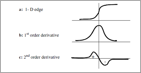 <b> Figure 4.</b> One-dimensional function and its derivatives