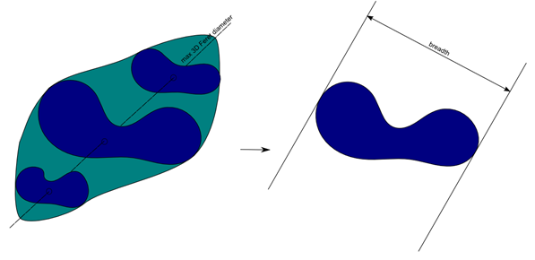 <b> Figure 4.</b> Example of breadth 3D measure