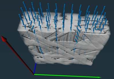<b> Figure 2.</b> Different fiber populations with different orientations are present. The algorithm detects almost only the fibers oriented along the red axis. Other orientations, although visible in the image, do not dominate the Fourier amplitude distribution in each processed block and are therefore not reported.