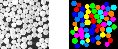 <b> Figure 1</b> Grayscale and label input images